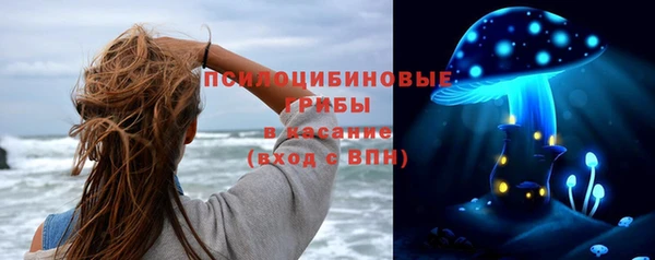 ешки Алексин
