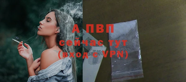 ешки Алексин