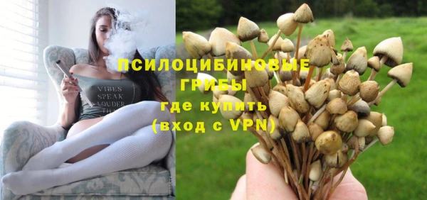 дживик Алзамай